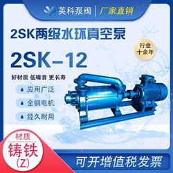 2SK-12两级水环式真空泵