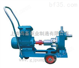 JMZ25-30上海高基泵业JMZ型不锈钢自吸泵（酒精泵）