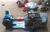 YCB1.6-1.6圆弧齿轮泵,YCB系列圆弧齿轮泵,沪全泵业