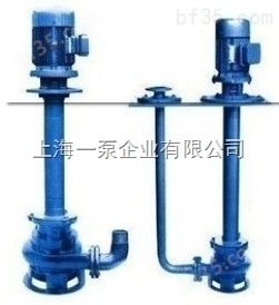 125YWP100-15-11不锈钢液下泵
