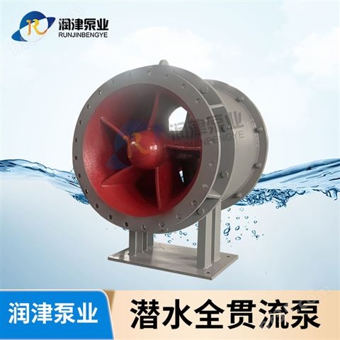 全贯流潜水泵价格 湿式贯流泵厂家 润津泵业