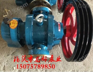 LCW-18/0.6型罗茨油泵（配柴油、机油、稠油）