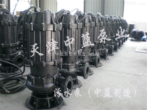 供应天津WQ污水泵型号