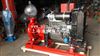 柴油机自吸泵,柴油机排污泵,小型柴油机水泵