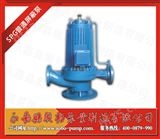 300-300B管道泵,浙江SPG管道屏蔽泵,立式屏蔽泵