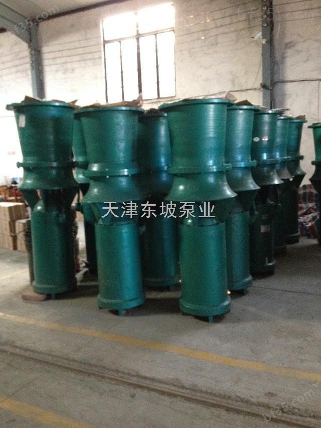 天津潜水泵厂-潜水轴流泵