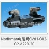 1AG1P01R中国台湾北部精机Northman齿轮泵1AG1P01R