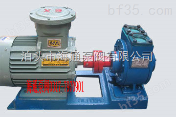 海通60YPB-24叶片式滑片泵，化工滑片泵
