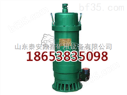BQS30-30-5.5/N潜水泵  矿用防爆潜水泵